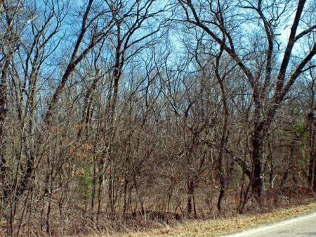 wisconsin acreage for sale