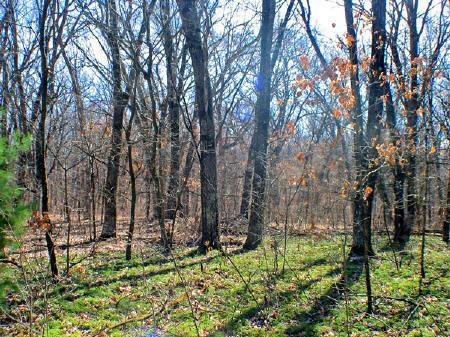 acreage for sale