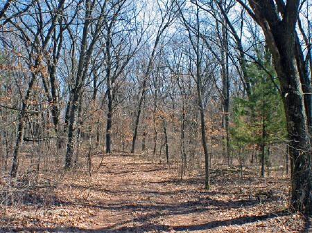 wisconsin land for sale