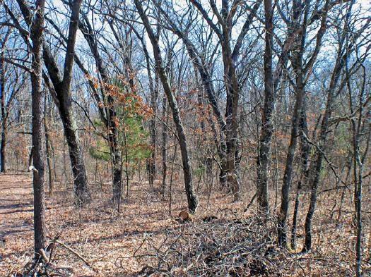 wisconsin land
