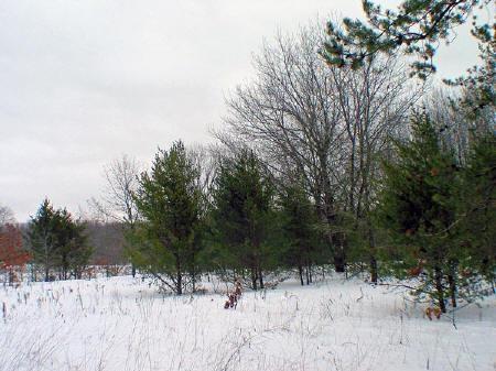 great spot for a hobby farm