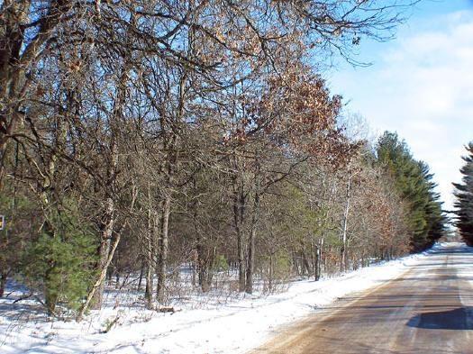 5 Acres abutting Cat's Down the Road