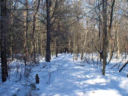 On ATV trail in Big Flats