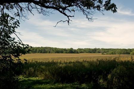 forty acres