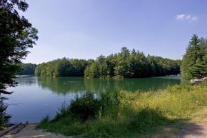3 acre wooded cabin site in central wisconsin