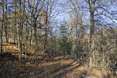 lakefront for sale