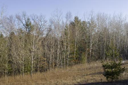 elroy, wi