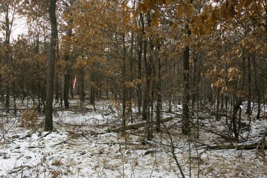 building site for sale