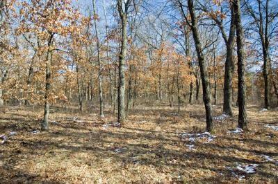 wisconsin real estate for sale