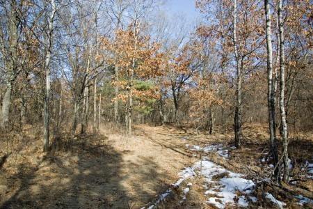 acreage on atv & snowmobile route