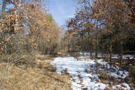 camp near lake petenwell