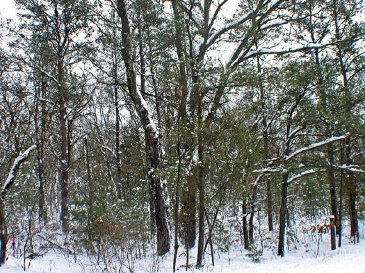 Big Roche-A-Cri Acres - Close to Big Roche A Cri Lake