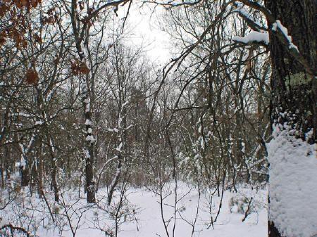 central wisconsin wildlife
