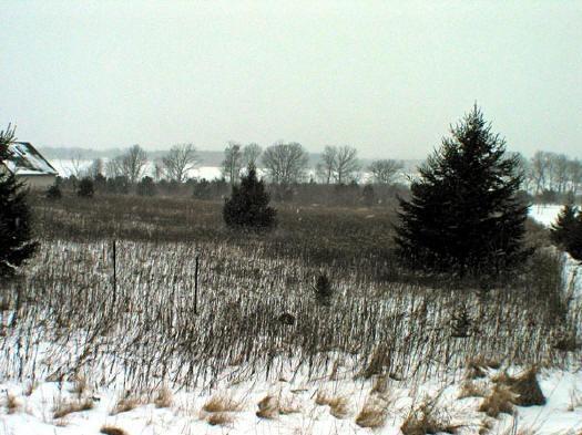 Buffalo Lake Lot