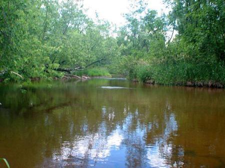 roche a cri creek