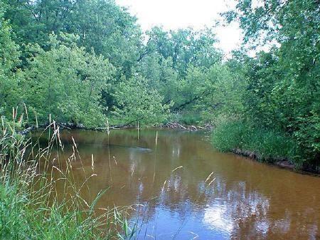 nature conservancy