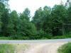 wildlife conservancy