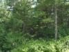 public land across the street 