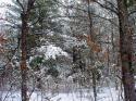 Recreational Base Camp for Sale in central Wisconsin