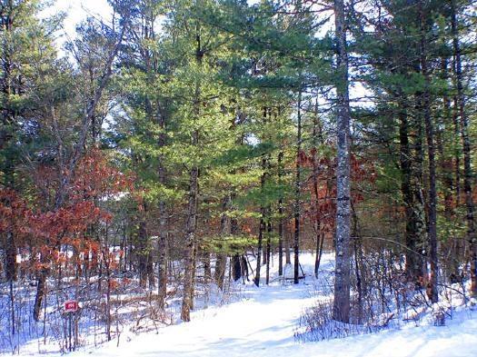 Crystal Brook Woods, Building Site