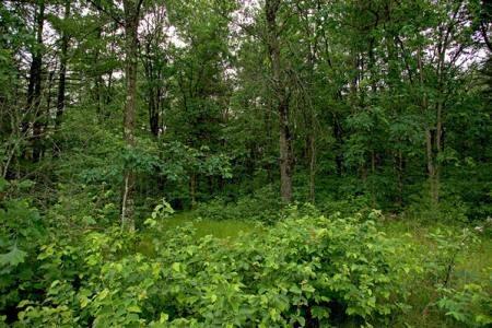Property for Sale in Castle Rock Lake Area, WI