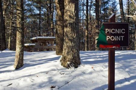 picnic piont