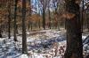 newton township