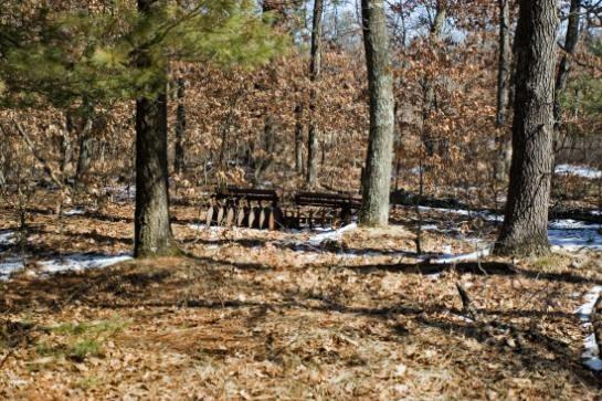 mixed hardwoods