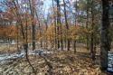 central wisconsin real estate for sale, adams county