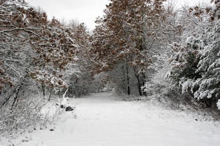 Adjoins Hundreds of Acres of Public Land