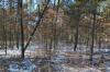 close to buckhorn state park