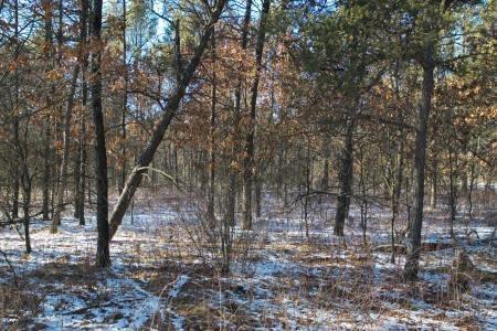 close to castle rock lake