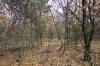 hunting land