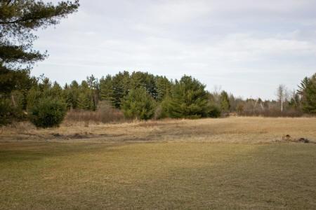 lots of wisconsin wildlife