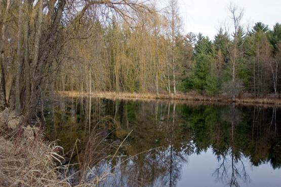 private pond for sale wi