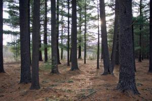 marquette county WI Real Estate for sale