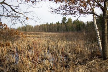 marquette county