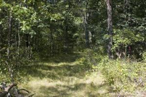 central wisconsin real estate