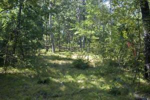 central wisconsin real estate