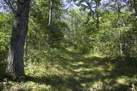 acreage near friendship lake