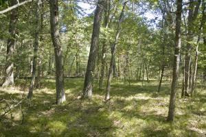 privacy and seclusion