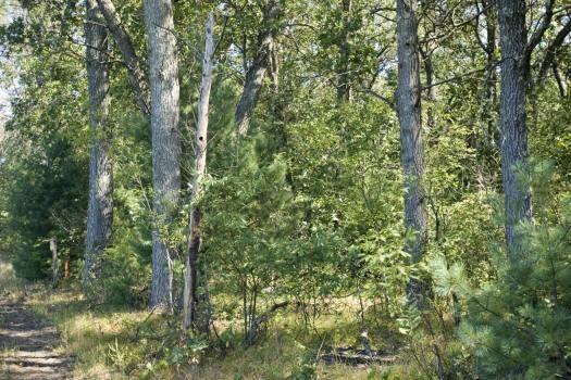 central wisconsin real estate