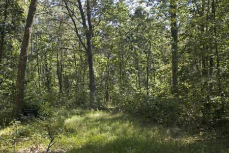 central wisconsin
