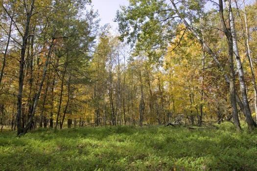 Near Castle Rock Lake