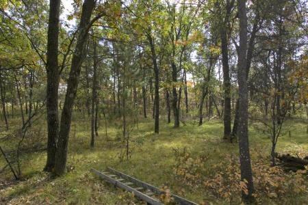 camelot lake property