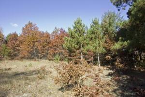 wisconsin river deeded access