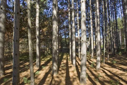 central wisconsin land for sale