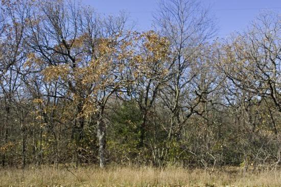 grandmarsh wi