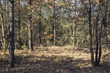 Central Wisconsin Land For Sale