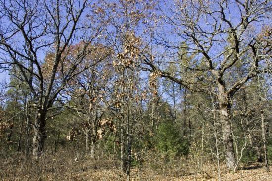 close to wisconsin dells